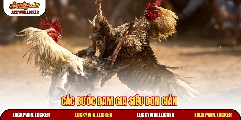 Các bước đam gia siêu đơn giản