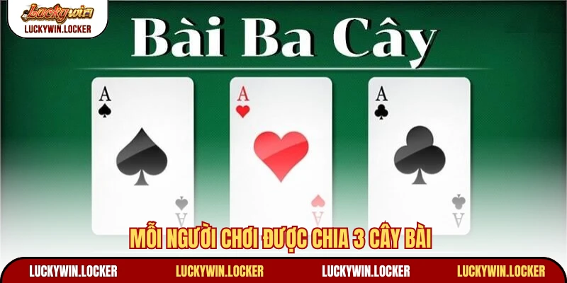 Mỗi người chơi được chia 3 cây bài