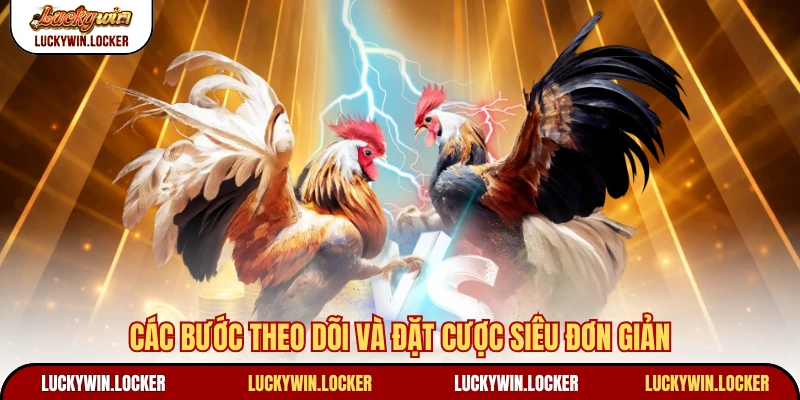 Các bước theo dõi và đặt cược siêu đơn giản