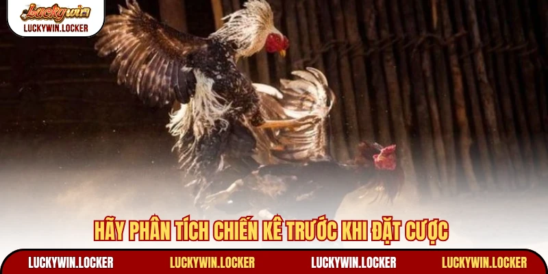 Hãy phân tích chiến kê trước khi đặt cược