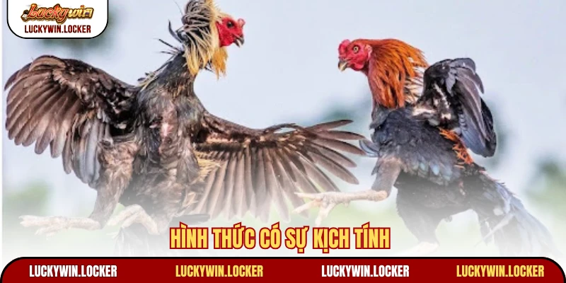 Hình thức có sự kịch tính