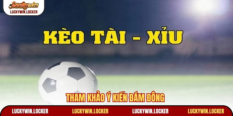 Tham khảo ý kiến đám đông